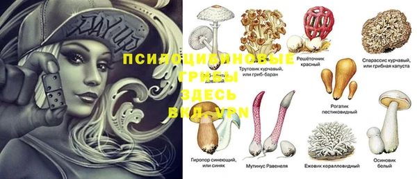 таблы Армянск