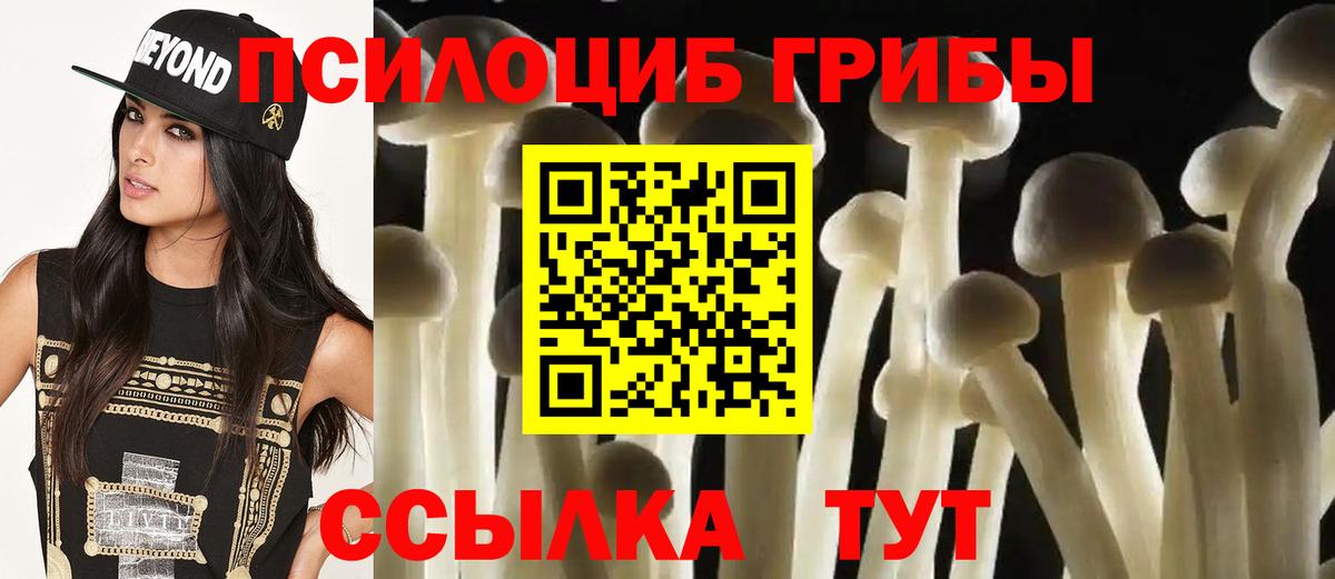 Сибай  Галлюциногенные грибы мицелий  Вход с VPN  Псилоцибиновые грибы прущие грибы 